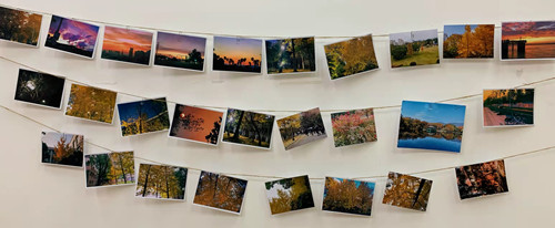 QQ图片20211216104215_副本.jpg QQ图片20211216104215_副本.jpg