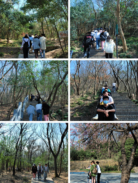 图片12_副本.png 图片12_副本.png