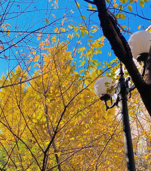 丁晨冉 21940106 (2)_proc_副本.jpg 丁晨冉 21940106 (2)_proc_副本.jpg