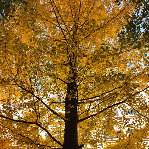 蒋成市20920231(2)_proc_副本.jpg 蒋成市20920231(2)_proc_副本.jpg