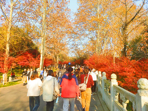 1111_副本.jpg 1111_副本.jpg